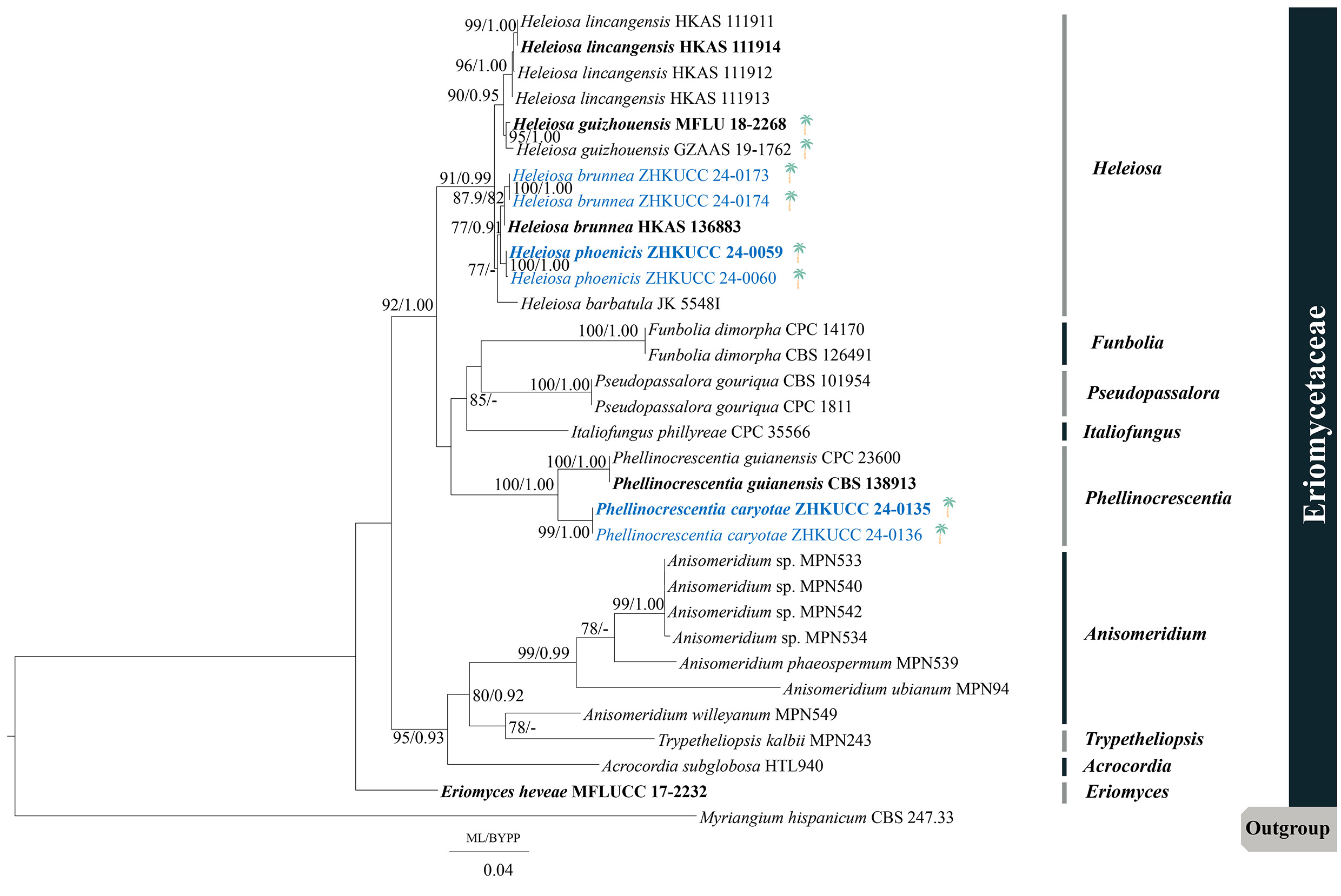 Figure 14
